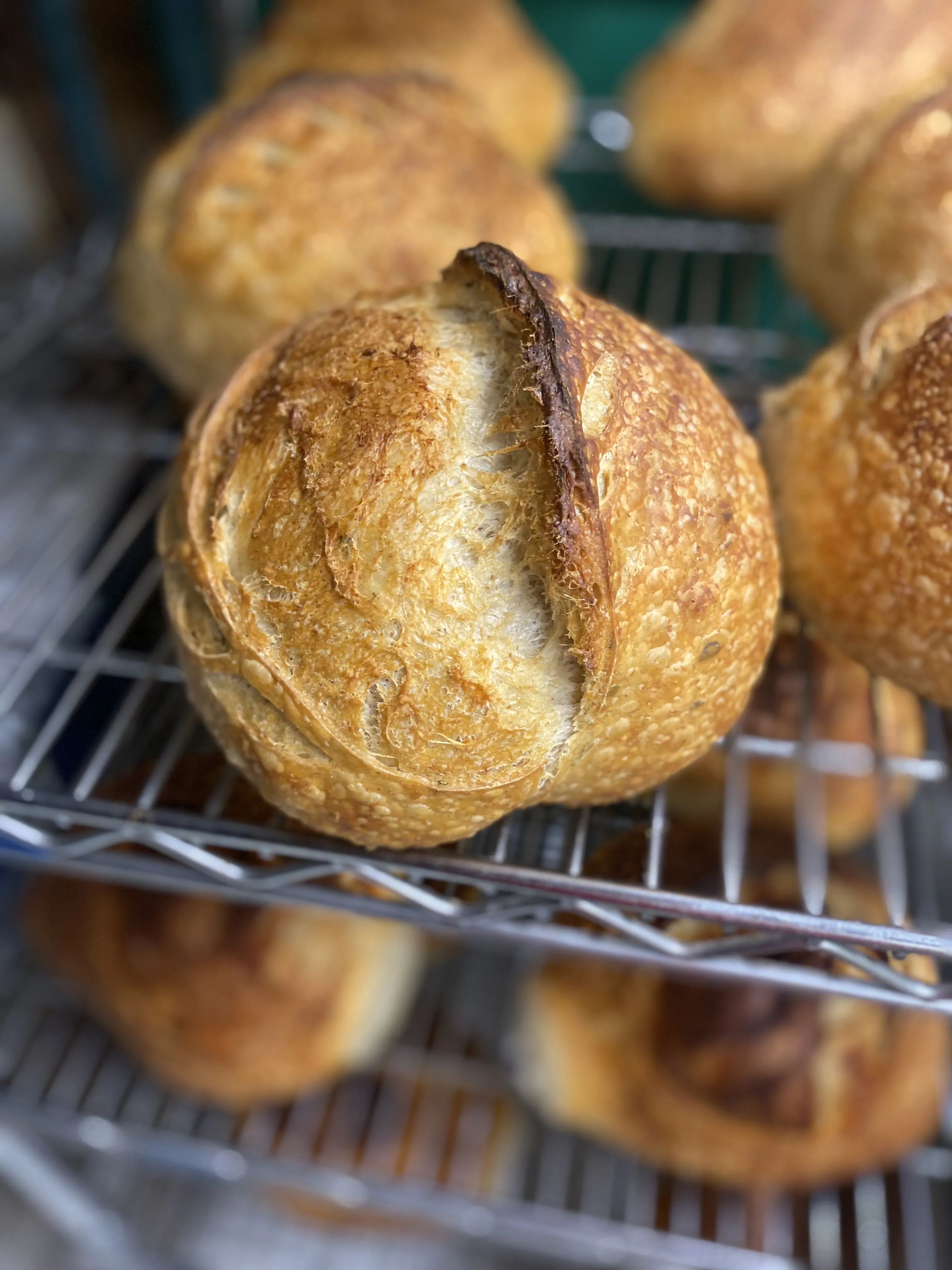 Sourdough Country Loaf